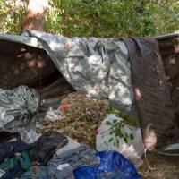chaotic jumble of tent and living supplies in woods
